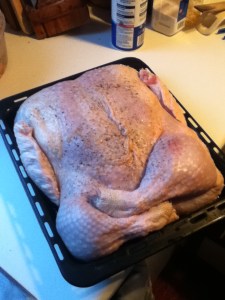 Our turkey, ready for the oven!
