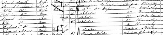 The 1851 census entry confirming Ellen (under her married name) as being from Wormsley, Herefordshire.