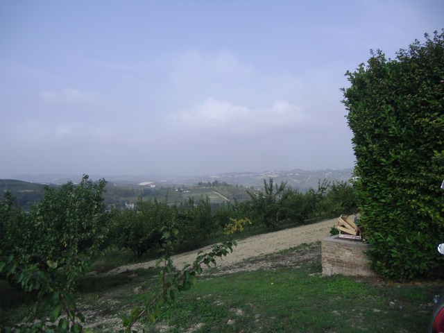 View of the countryside surrounding San Marzano Oliveto, Piedmont. Author's private collection.